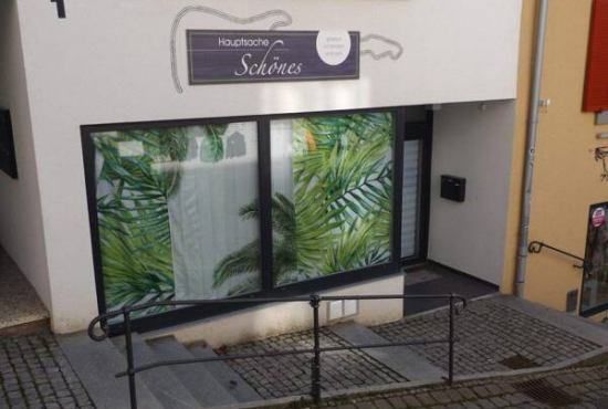 Titisee-Neustadt Hirschenbuckel, Ladenlokal, Gastronomie mieten oder kaufen