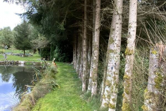 Viechtach , Ladenlokal, Gastronomie mieten oder kaufen