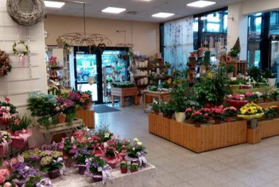 Lauenburg/Elbe Mecklenburger Straße, Ladenlokal, Gastronomie mieten oder kaufen