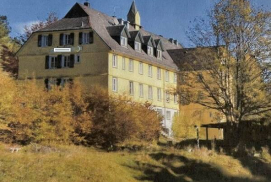 Falkau , Ladenlokal, Gastronomie mieten oder kaufen