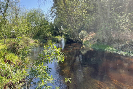 Gotha , Ladenlokal, Gastronomie mieten oder kaufen