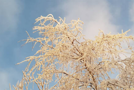 Baden-Baden , Ladenlokal, Gastronomie mieten oder kaufen