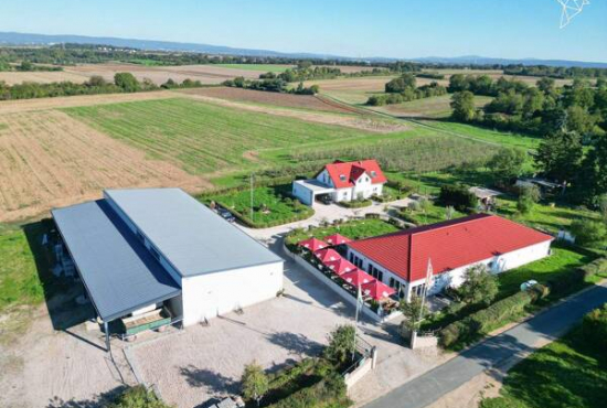 Wiesbaden , Ladenlokal, Gastronomie mieten oder kaufen