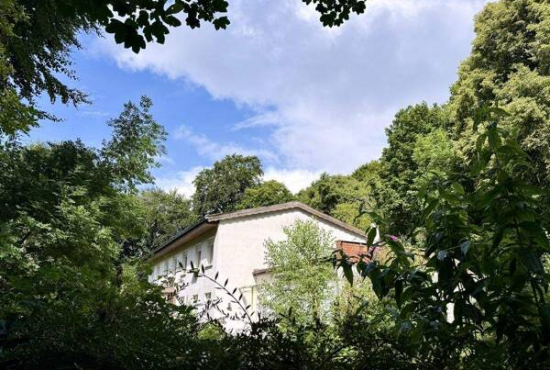 Lohme / Nardevitz , Ladenlokal, Gastronomie mieten oder kaufen