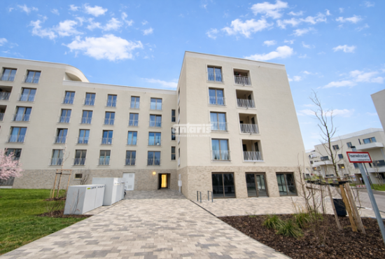 Erfurt , Ladenlokal, Gastronomie mieten oder kaufen