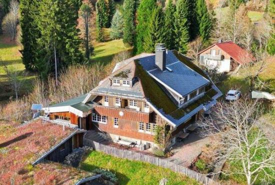 Aitern-Multen , Ladenlokal, Gastronomie mieten oder kaufen