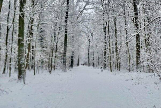 Hamburg , Ladenlokal, Gastronomie mieten oder kaufen