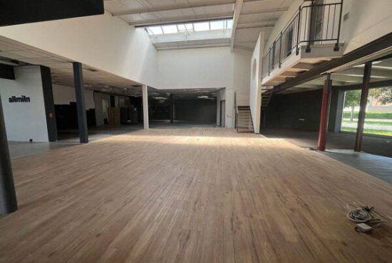 Singen (Hohentwiel) Georg-Fischer-Straße, Ladenlokal, Gastronomie mieten oder kaufen