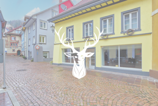 Waldshut-Tiengen , Ladenlokal, Gastronomie mieten oder kaufen