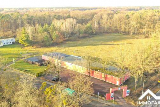 Dessau-Roßlau , Ladenlokal, Gastronomie mieten oder kaufen