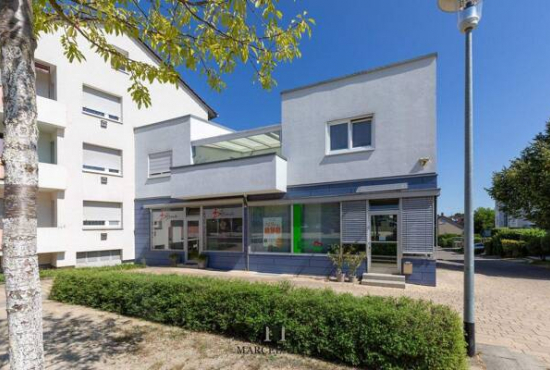 Nürtingen , Ladenlokal, Gastronomie mieten oder kaufen