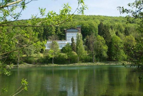 Kleinbartloff / Reifenstein , Ladenlokal, Gastronomie mieten oder kaufen