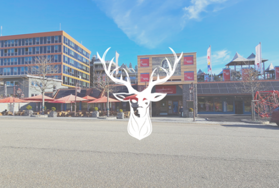 Feldberg , Ladenlokal, Gastronomie mieten oder kaufen