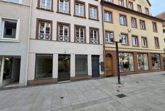 Landau in der Pfalz , Ladenlokal, Gastronomie mieten oder kaufen