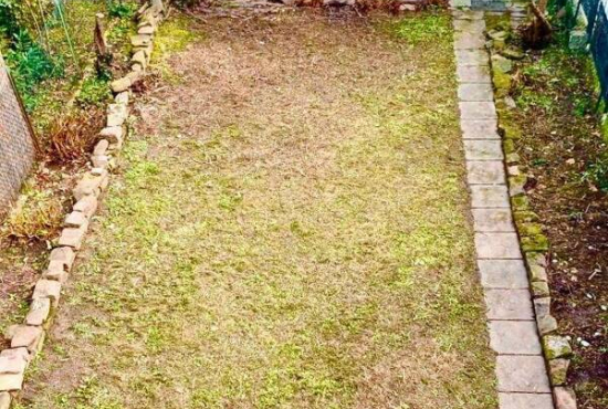 Ludwigshafen am Rhein , Ladenlokal, Gastronomie mieten oder kaufen