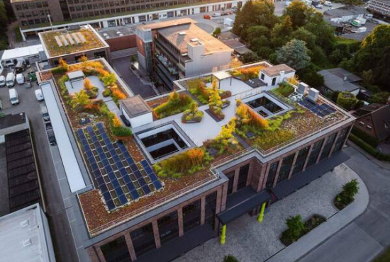 Hamburg Offakamp, Ladenlokal, Gastronomie mieten oder kaufen