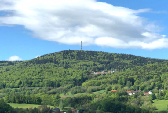 Schöfweg , Ladenlokal, Gastronomie mieten oder kaufen
