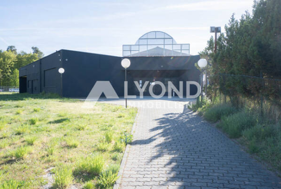 Münster , Ladenlokal, Gastronomie mieten oder kaufen