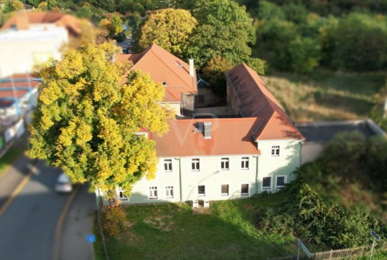 Riesa , Ladenlokal, Gastronomie mieten oder kaufen