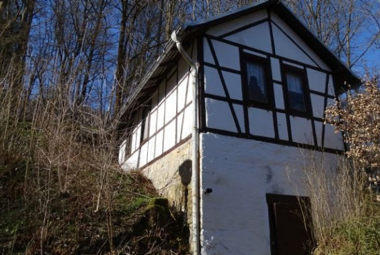 Eisenberg Mühltalsweg, Ladenlokal, Gastronomie mieten oder kaufen