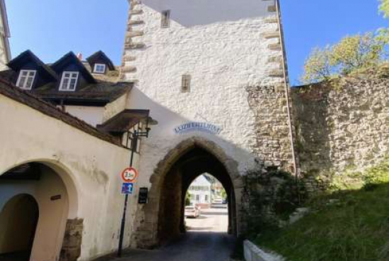 Horb am Neckar , Ladenlokal, Gastronomie mieten oder kaufen