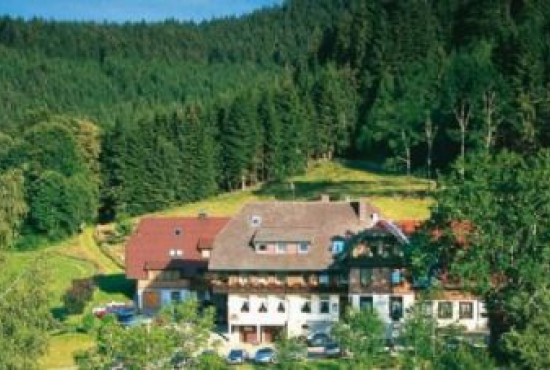 Hinterzarten , Ladenlokal, Gastronomie mieten oder kaufen